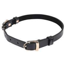 Afbeelding in Gallery-weergave laden, Sportsheets - Sex &amp; Mischief Double Buckle Day Collar
