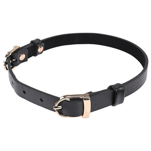 Sportsheets - Sex & Mischief Double Buckle Day Collar