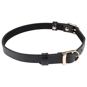 Sportsheets - Sex & Mischief Double Buckle Day Collar